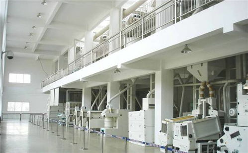 年产10000t大米生产加工厂房设计,大米加工厂设备布局图